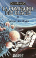 Couverture La compagnie des glaces, tome 42 : La Chair des étoiles Editions Fleuve (Noir - La Compagnie des glaces) 1988