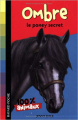 Couverture Ombre le poney secret Editions Bayard (Poche - 100% animaux) 2007