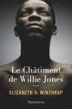 Couverture Le Châtiment de Willie Jones Editions Flammarion (Littérature étrangère) 2019
