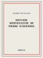 Couverture L'étrange histoire de Peter Schlemihl / Histoire merveilleuse de Pierre Schlémihl Editions Bibebook 2016