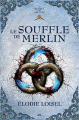 Couverture Le secret des druides, tome 3 : Le souffle de Merlin Editions AdA 2016