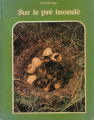 Couverture Sur le pré inondé Editions Etudes vivantes (Ecoramage) 1979