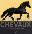 Couverture Chevaux Editions White Star 2006