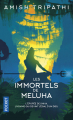 Couverture La Trilogie de Shiva, tome 1 : Les immortels de Meluha Editions Pocket 2019