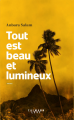 Couverture Tout est beau et lumineux Editions Calmann-Lévy (Littérature étrangère) 2019
