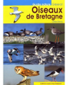 Couverture Oiseaux de Bretagne Editions Gisserot (Guide) 2017