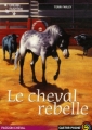 Couverture Cheval Fantôme, tome 4 : Le cheval rebelle Editions Flammarion (Castor poche - Passion cheval) 2007