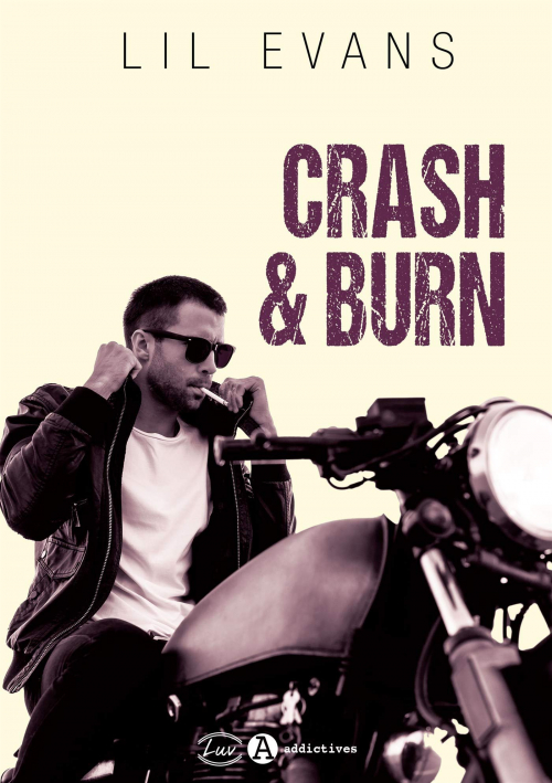 Couverture Crash & burn : Inaccessible