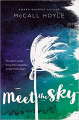 Couverture Meet the Sky Editions Blink 2018
