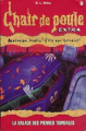 Couverture Chair de poule extra : La balade des pierres tombales Editions Héritage 1998