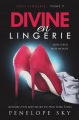 Couverture Lingerie, tome 09 : Divine en lingerie Editions Autoédité 2019
