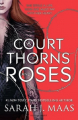 Couverture Un palais d'épines et de roses, tome 1 Editions Bloomsbury 2015
