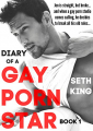 Couverture Diary of a Gay Porn Star, Book 1 Editions Autoédité 2019