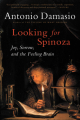 Couverture Spinoza avait raison : Joie et tristesse, le cerveau des émotions Editions Mariner Books 2003