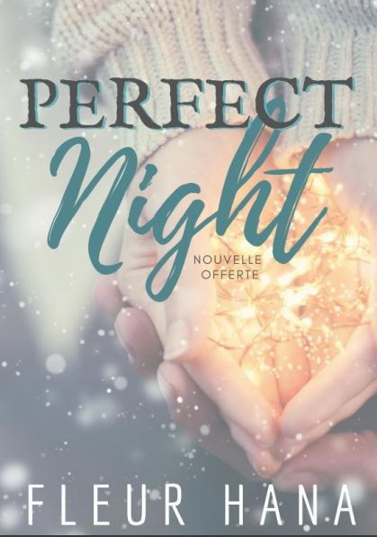 Couverture Perfect Night