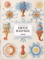 Couverture L'art et la science d'Ernst Haeckel Editions Taschen 2017