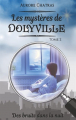 Couverture Les mystères de Dolyville, tome 2 : Des bruits dans la nuit Editions Autoédité 2018