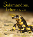 Couverture Salamandres, tritons & cie Editions Quae 2019