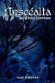 Couverture Finscéalta, tome 2 : Les Âmes Sombres Editions Autoédité 2019