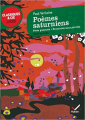 Couverture Fêtes galantes, Romances sans paroles précédés de Poèmes saturniens Editions Hatier (Classiques & cie - Lycée) 2012
