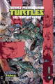 Couverture Les Tortues Ninja (Hi Comics), tome 9 : Vengeance, partie 2 Editions Hi comics 2020