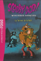 Couverture Scooby-Doo, mystères associés, tome 6 : La terreur de la nuit Editions Hachette (Bibliothèque Rose) 2015