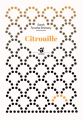 Couverture Citrouille Editions Thierry Magnier 2018
