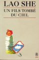 Couverture Un fils tombé du ciel Editions Le Livre de Poche (Biblio) 1997