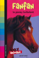 Couverture Fanfan le poney turbulent Editions Bayard (Poche) 2009