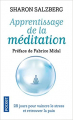 Couverture Apprentissage de la méditation Editions Pocket 2015