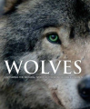 Couverture Le Loup : Sauvage et Fascinant Editions Parragon (UK) 2011