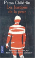 Couverture Les Bastions De La Peur : Pratique Du Courage Dans Les Heures Difficiles Editions Pocket (Spiritualité) 2005