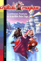Couverture Le château magique, tome 5 : La princesse Anastasia et la terrible Baba Yaga Editions Bayard (Jeunesse) 2008