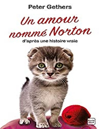 Couverture Un amour nommé Norton