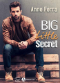 Couverture Big Little Secret Editions Addictives (Luv) 2020