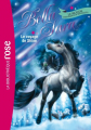 Couverture Bella Sara, tome 08 : Le voyage de Shine  Editions Hachette (Bibliothèque Rose) 2012