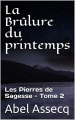 Couverture Les Pierres de Sagesse, tome 2 : La Brûlure du printemps Editions Autoédité 2020