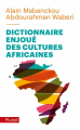 Couverture Dictionnaire enjoué des cultures africaines Editions Fayard (Pluriel) 2020