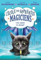 Couverture Magie méli-mélo / L'école des apprentis magiciens, tome 2 : Une classe en danger Editions Scholastic 2017