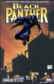Couverture Black Panther: Ennemi d'Etat Editions Panini (Marvel Select) 2018