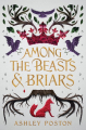 Couverture Among the Beasts & Briars Editions Balzer + Bray 2020