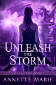 Couverture Steel & Stone, book 5: Unleash the Storm Editions Dark Hollows Press 2015