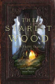 Couverture The Starlit Wood: New Fairy Tales Editions Saga Press 2016