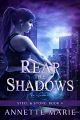 Couverture Steel & Stone, book 4: Reap the Shadows Editions Dark Hollows Press 2015