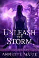 Couverture Steel & Stone, book 5: Unleash the Storm Editions Dark Hollows Press 2016