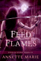 Couverture Steel & Stone, book 3.5:  Feed the Flames Editions Dark Hollows Press 2015