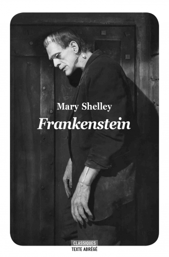 Couverture Frankenstein ou le Prométhée moderne, abrégé