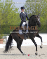 Couverture Dressage : Enseigner, Entraîner, Coacher Editions Lavauzelle 2016