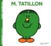 Couverture Monsieur Tatillon Editions Hachette (Jeunesse) 2008