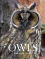Couverture Owls Editions Bloomsbury 2012